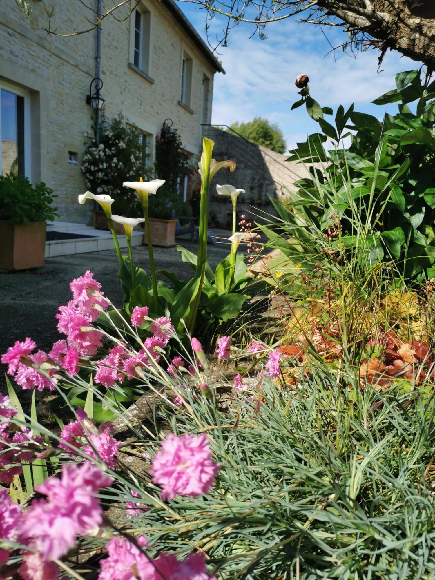 Chambre De L'Iris Sainte-Croix-sur-Mer Dış mekan fotoğraf