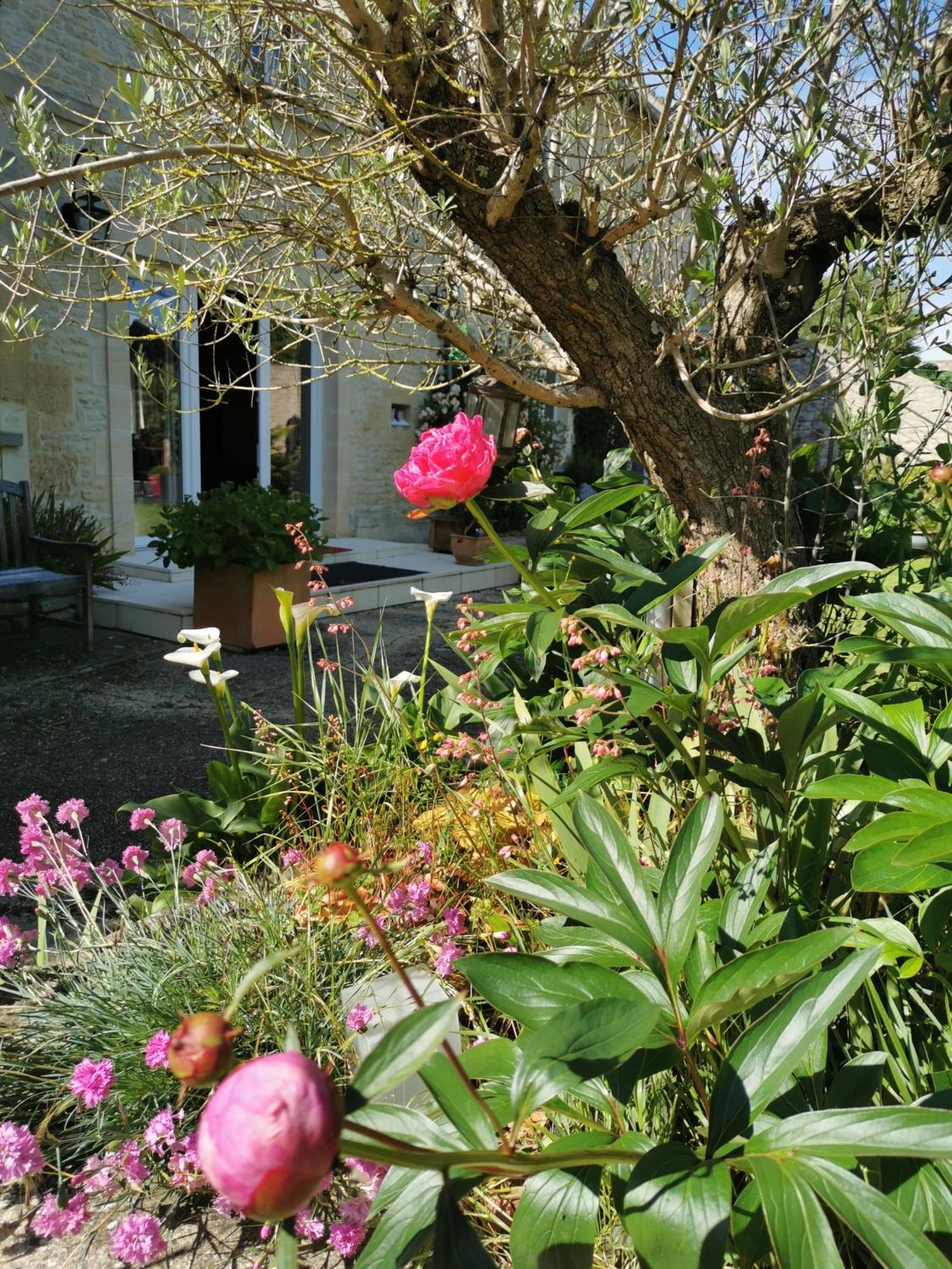 Chambre De L'Iris Sainte-Croix-sur-Mer Dış mekan fotoğraf
